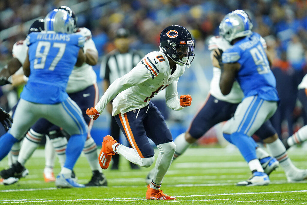 Bears Lions Football